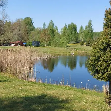 Pirts,kubls,,saknes,, Nyaraló Talsi